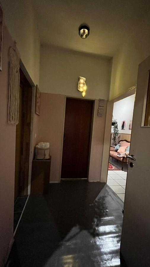 Monteure, Ganzes Haus, Schwarzheide, Haus 1アパートメント エクステリア 写真